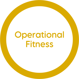 FW-Circle-Web-Graphics-3-1-300x300
